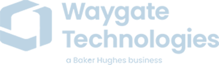 Waygate Technologies